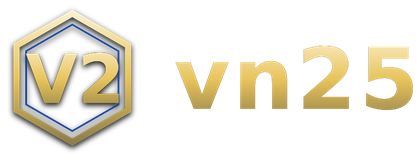 vn25 logo